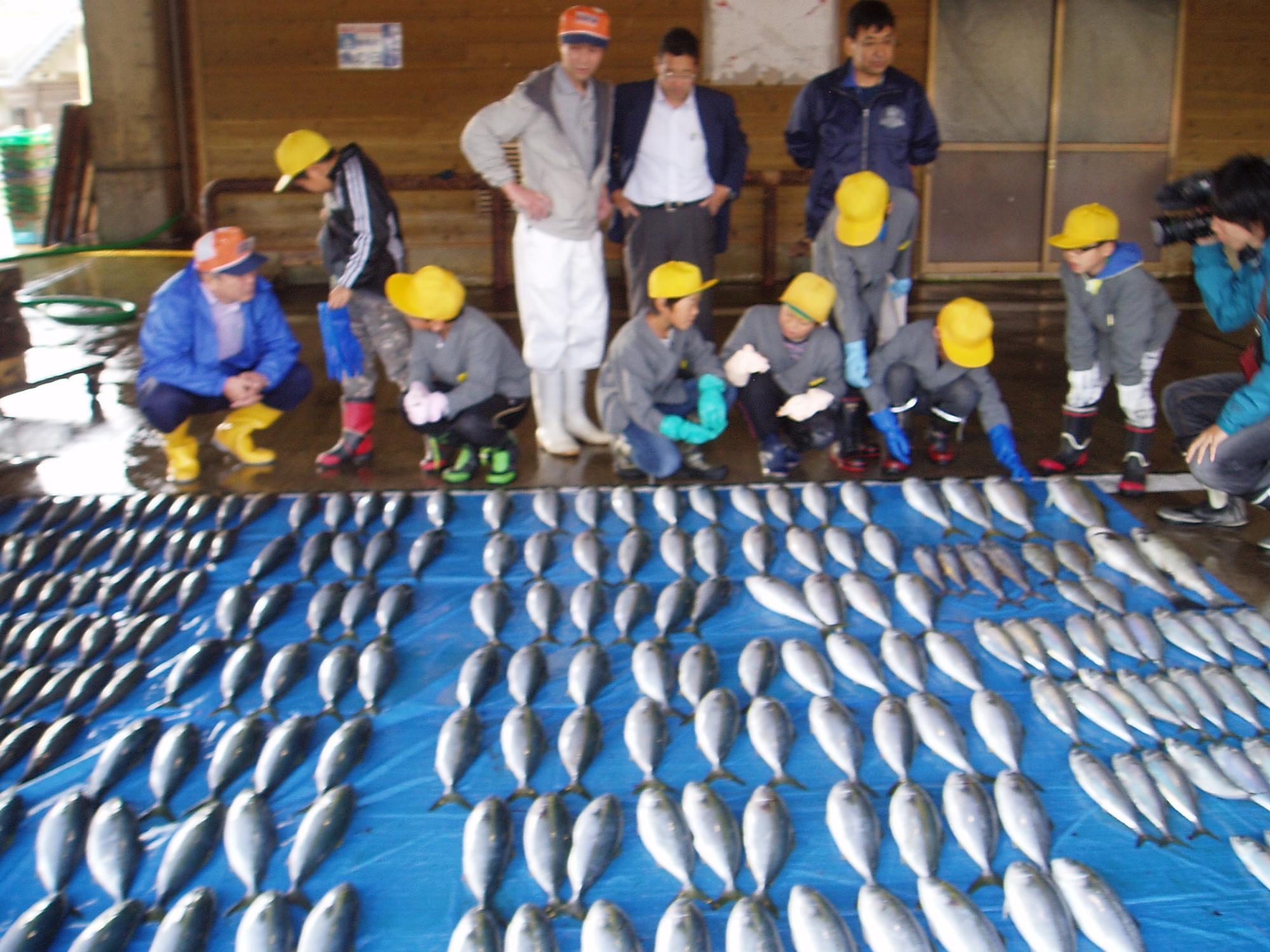 市場で並べられた大量の魚を子どもたちと関係者が見学している写真