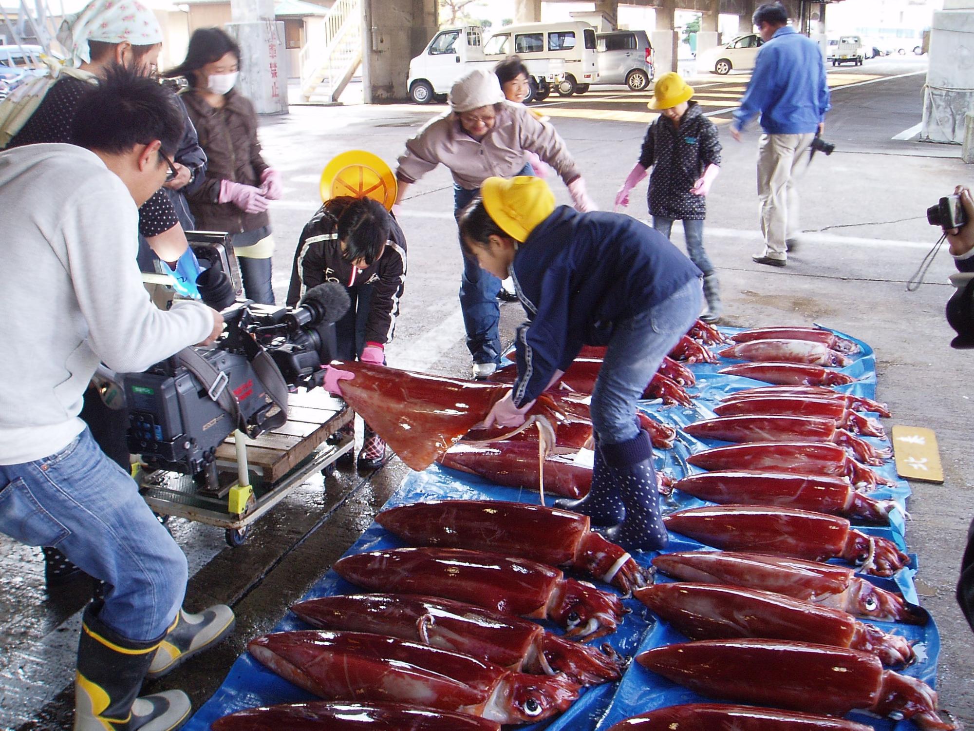市場で子どもたちが並べられた大きなイカを持ち上げている写真