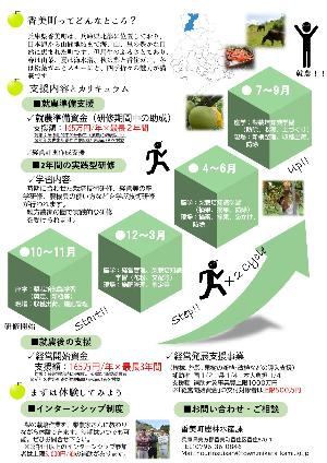 チラシ裏