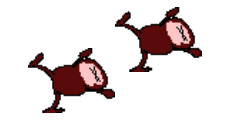 倒れている二匹のサル