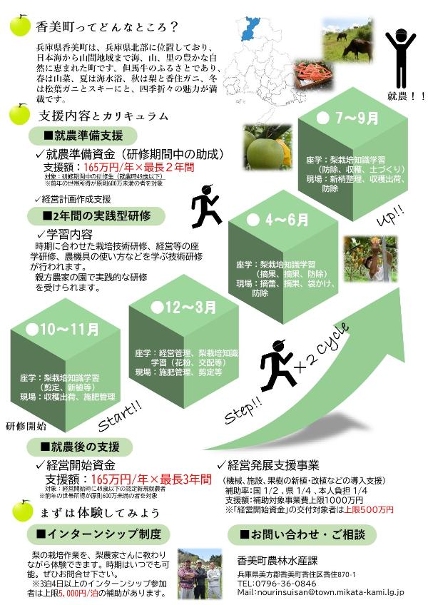 チラシ裏面