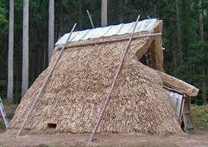 藁葺き屋根の竪穴式住居を横から撮影した写真