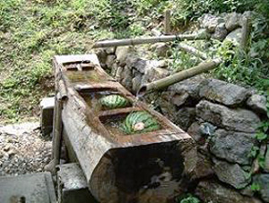 丸太でできた湧き水の水受けにスイカが入っている写真