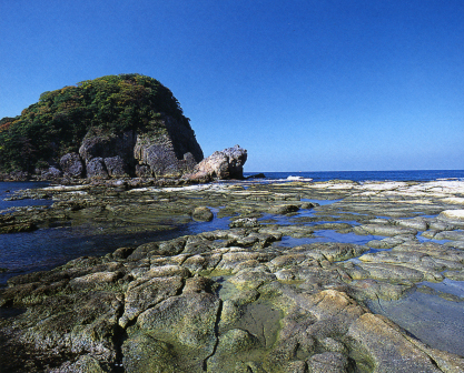 海水がまばらに広がっている岩場の写真