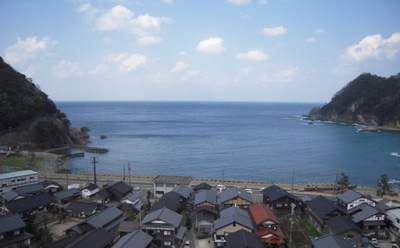 黒い屋根の家が多く建ち並ぶ港町の写真