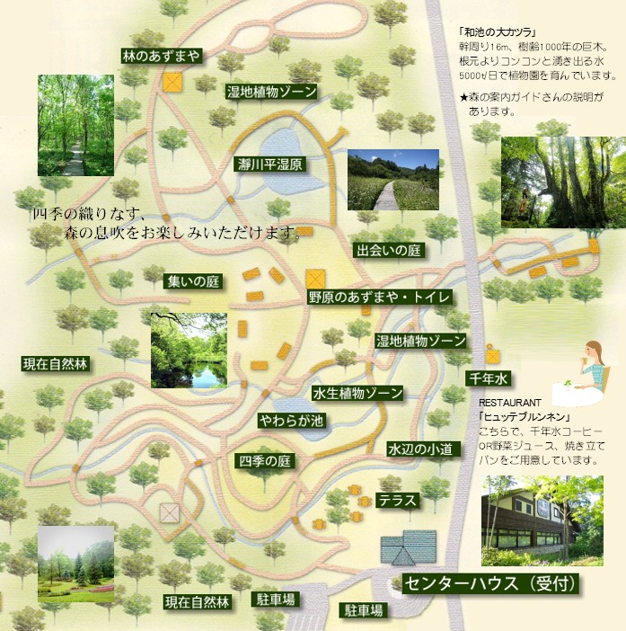植物園の道とエリアを示したマップ
