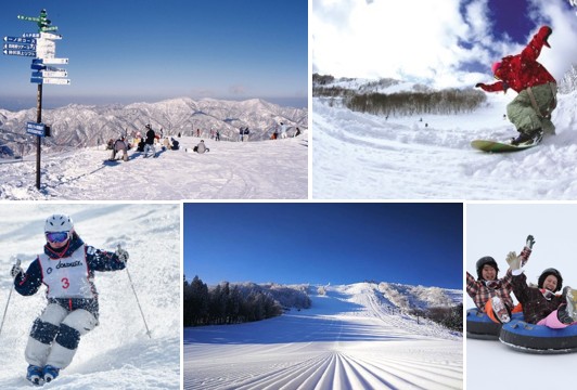 スキー場で滑っている人の写真などが5枚並んでいる写真