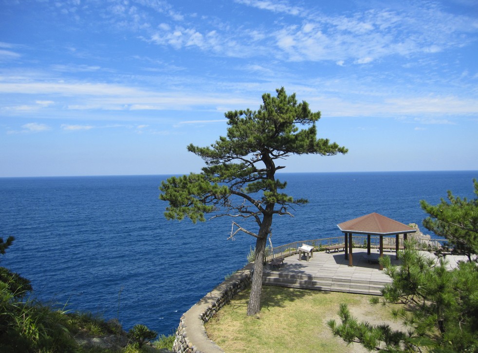 海が見渡せる高台の東屋と1本の木の写真