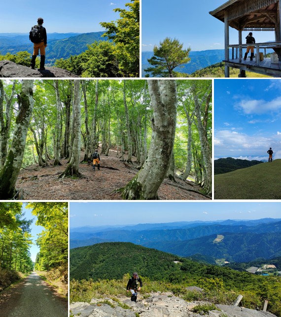 山頂やコテージ、山林の中を進む人の写真が6枚並んでいる写真