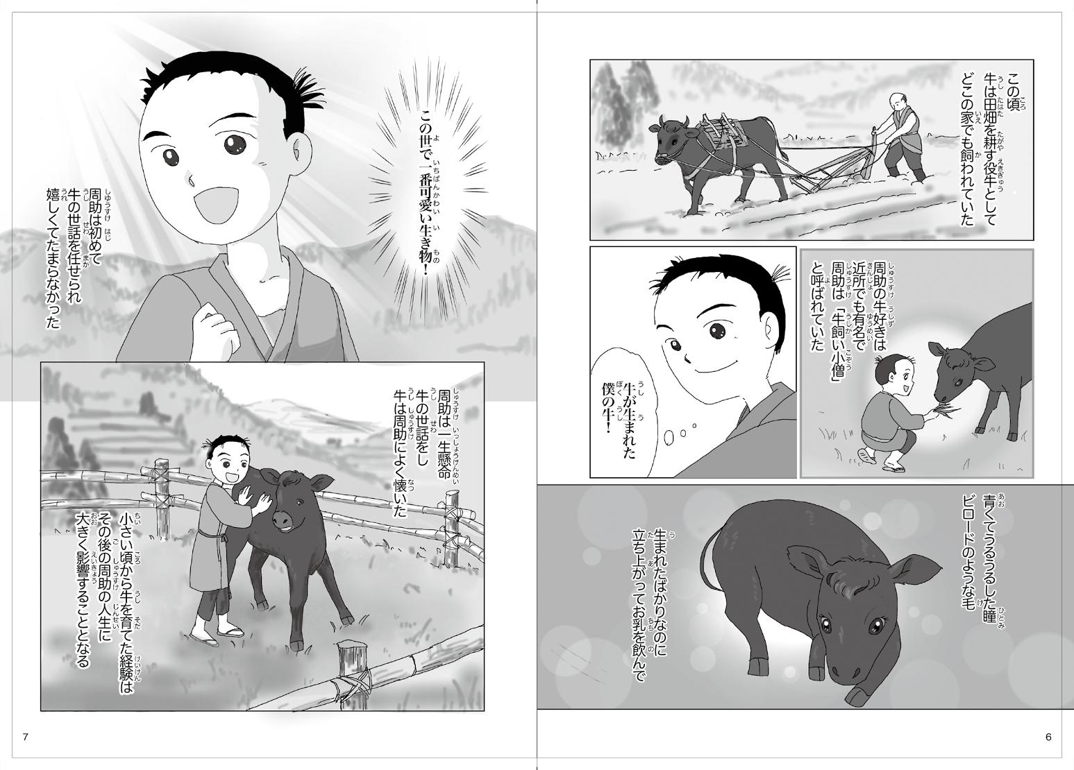 子牛の世話をする着物の少年のイラスト牛の出産に立ち会う着物の男女と少年のイラストの描かれたマンガふるさとの偉人「但馬牛を築いた男 前田周助物語」の見開きページ