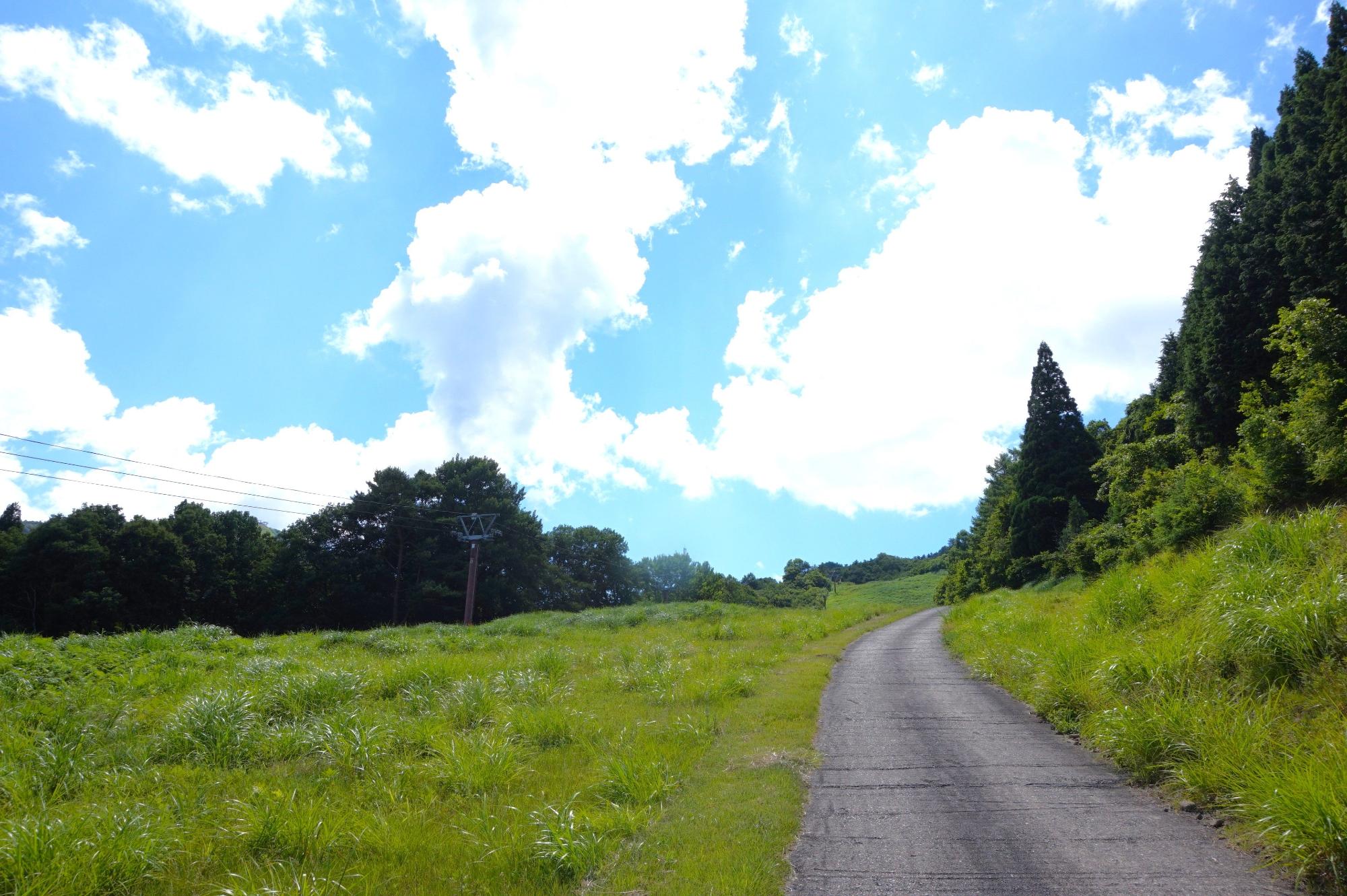 草原に通っている小道の写真