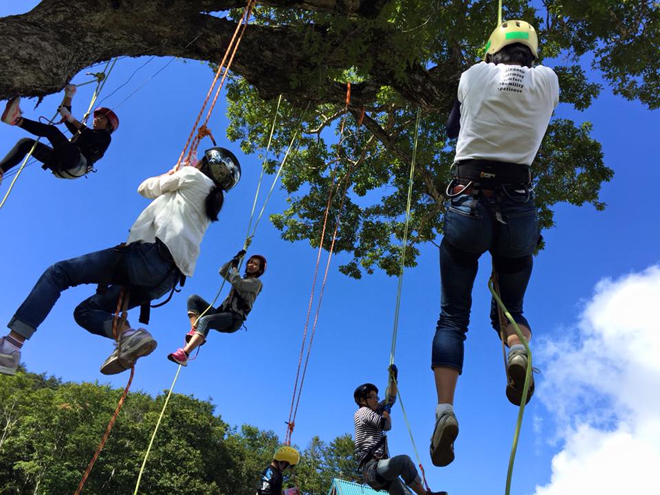 木から吊るされたロープを登っている人たちの写真