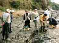 岩場に集まっている人たちの写真