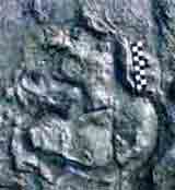 足跡がついている石の写真