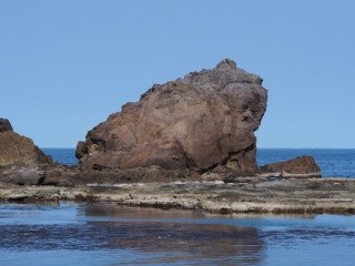 かえるの形をした岩の写真