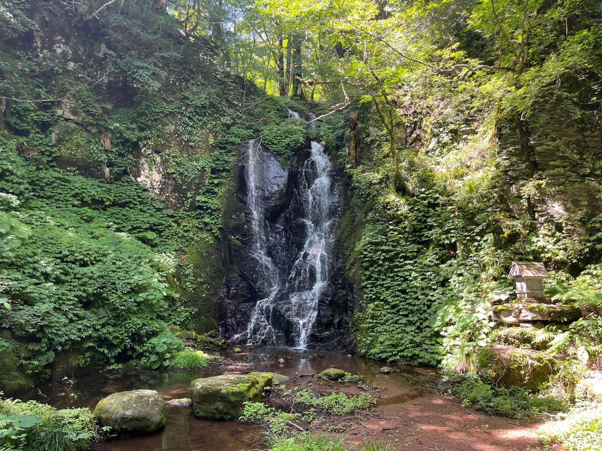 もののけの森の中にある昇龍の滝の写真