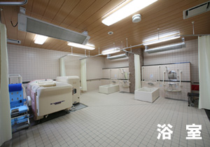 左下に白い文字で浴室と書かれている介護用の浴槽や機器が並ぶ広い浴室の写真