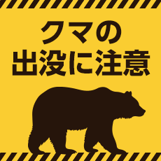 クマの画像