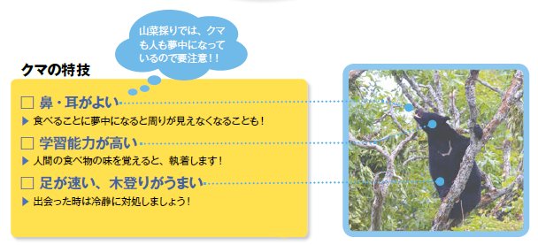 クマの特技の解説図