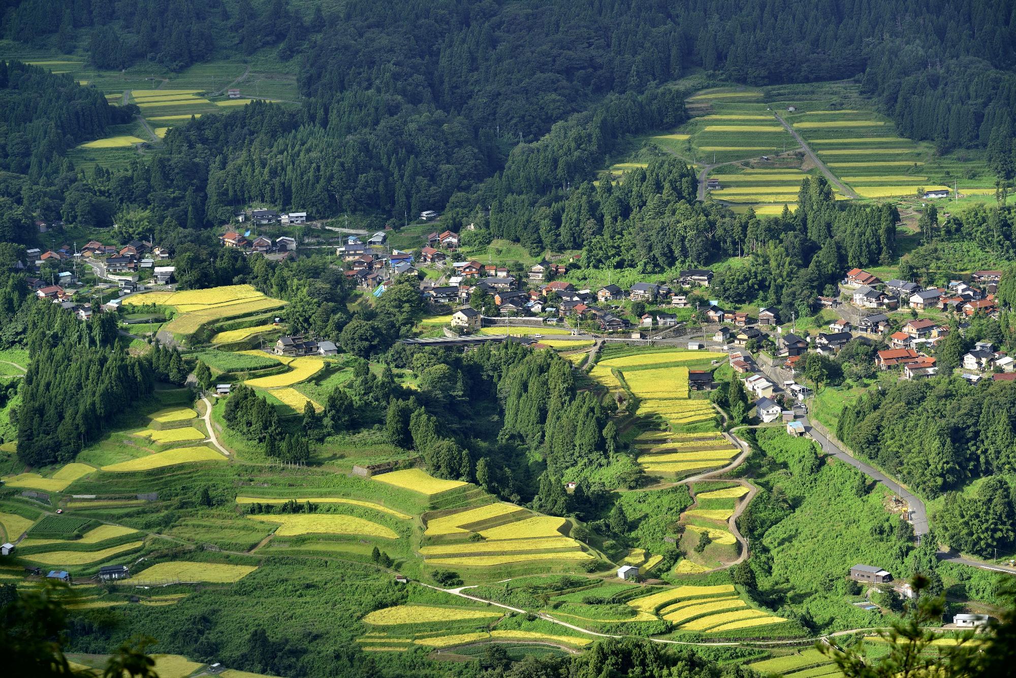 緑豊かな田んぼと森が点在する間に家々が立つ集落の遠景の写真