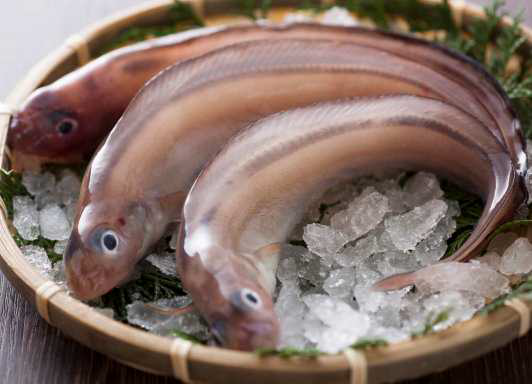 ざるの上に氷とノロゲンゲが置かれている写真