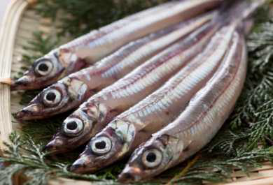 ざるの上に置かれた5匹のキスの写真