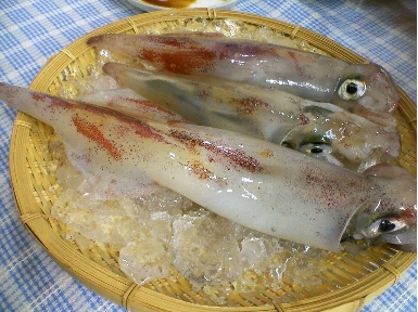ざるの上に氷とイカが置かれている写真