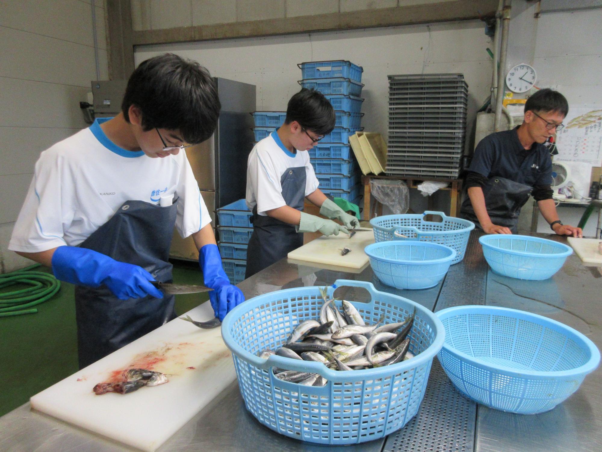 漁協での魚料理体験