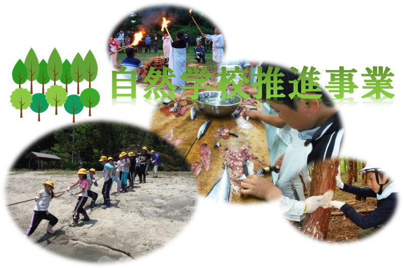 自然学校推進事業