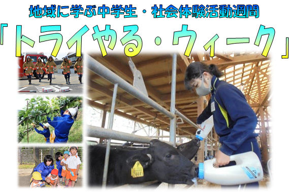 地域に学ぶ中学生・社会体験活動週間 「トライやる・ウィーク」