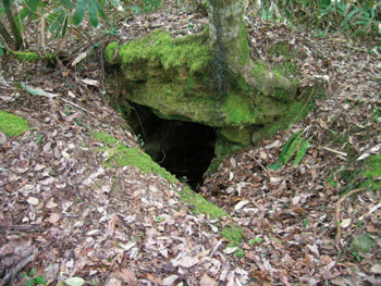 土の中に開いた深い穴の写真