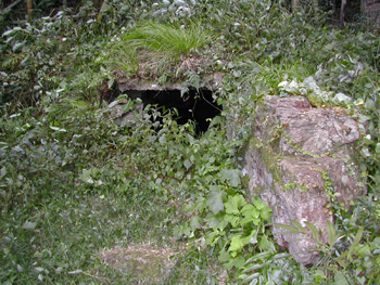 草むらの中にある石造の横穴の写真