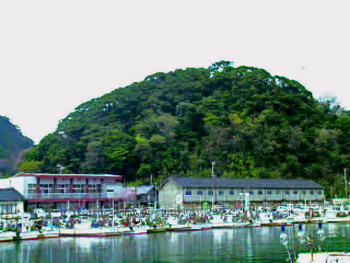 海辺の建物の後ろにある大きな森の写真