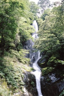 木々の間を流れる滝の写真