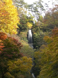紅葉した木々の間を流れる滝の写真