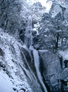 雪が積もった木々の間を流れる滝の写真