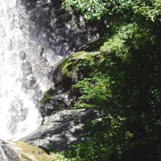 滝の脇にある苔の生えた岩の写真