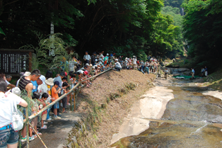 川の脇で行われたとても長い流しそうめんに参加する多くの人たちの写真