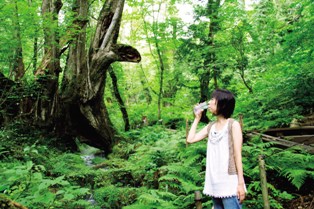 草が生い茂る木々の前で飲み物を飲んでいる女性の写真