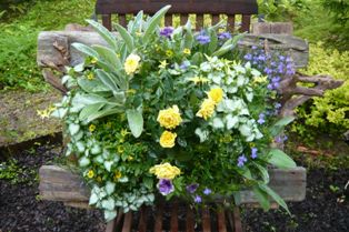 黄色や薄紫色の花々が一か所に集められている写真