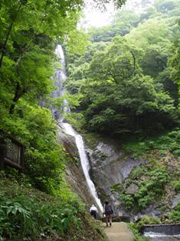 森の中を流れる長くて細い滝の写真