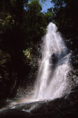 崖の上から激しく流れ落ちる滝の写真