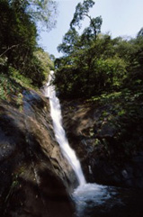 勢いよく滝壺へ流れる滝の写真