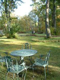 森林の広場に置かれているガーデニングチェアとテーブルの写真