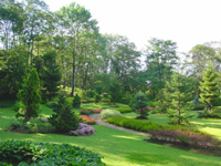 植え込みや整備された木々のある庭の写真