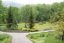 三叉路の周りに植え込みや木々が植わっている庭の写真