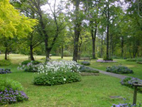 白や紫の花が植わっている庭の写真