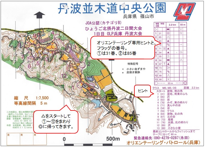 オリエンテーリングに使用される丹波並木道中央公園の地図