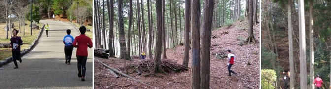 幅のある道をすれ違いながらランニングしている人々の写真と山の中をランニングしている男性の写真と山の中をランニングしているピンクのジャージを着た人の写真が横に3つ並んだ写真