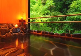 外の木が見える浴室の写真